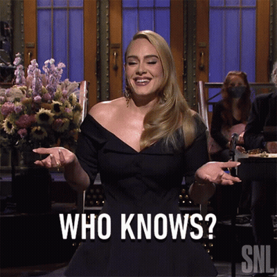 Woman In Black Dress In Front Of SNL Sign GIF