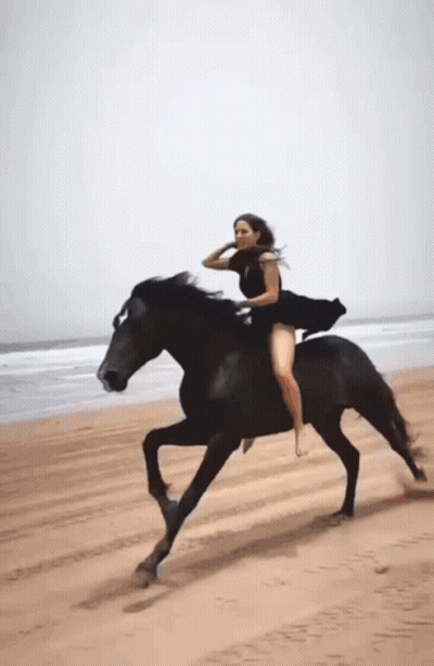 Woman In Black Dress Riding Black Horse On Beach GIF