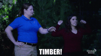 Woman In Blue Shirt Next To Woman In Red Shirt Timber GIF