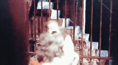 Woman In Cage With Beard Behind Bars GIF