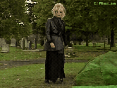 Woman In Cemetery With Dr Pflaumisan GIF