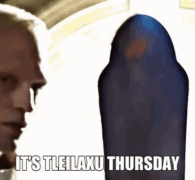 Woman In Chain Mail Helmet And Silver Jacket GIF