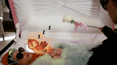 Woman In Coffin With Bird On Head And Z GIF