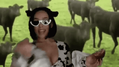 Woman in Cow Costume and Sunglasses With Herd of Cows