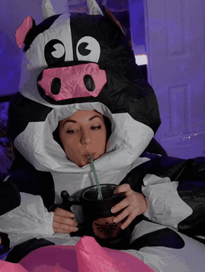 Woman In Cow Costume Drinking GIF