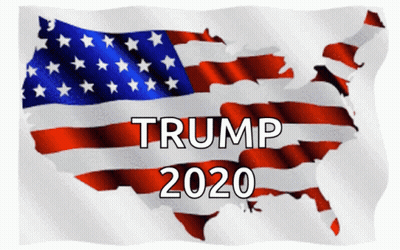 Woman In Cowboy Hat And Plaid Shirt With American Flag GIF