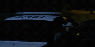 Woman In Cowboy Hat Next To Police Car 3745J GIF