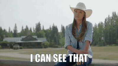 Woman In Cowboy Hat On Fence Saying I Can See That GIF