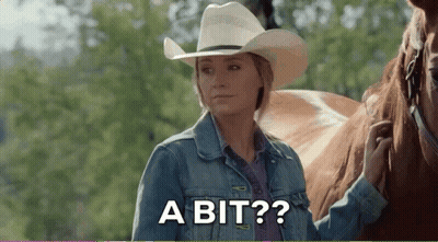 Woman in Cowboy Hat Standing Next to Horse Asking a Bit