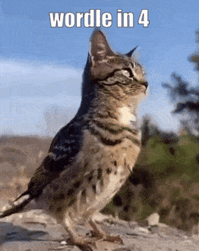 Woman In Crop Top And Long Skirt Dancing On Stage GIF