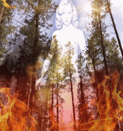 Woman In Forest Surrounded By Flames GIF