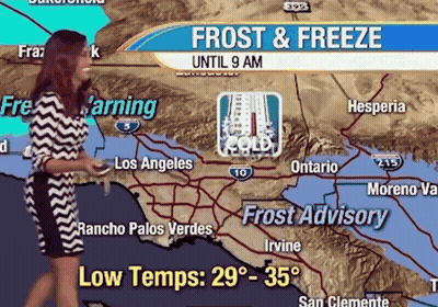 Woman In Front Of Map Saying Frost And Freeze Until 9 AM GIF