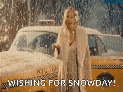 Woman In Fur Coat Next To NYC Taxi GIF