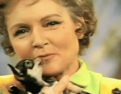 Woman In Green Shirt Holding Black And White Bird GIF