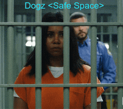 Woman In Jail Cell Dogz Safe Space GIF