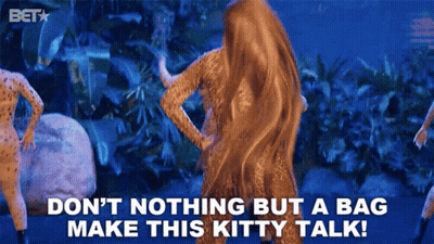 Woman In Leopard Print Says Don't Nothing But A Bag Make This Kitty Talk GIF