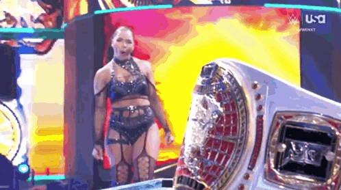 Woman In Lingerie Beside Wrestling Ring GIF