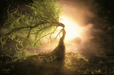 Woman In Long Dress Under Willow Tree GIF
