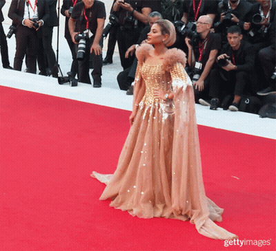 Woman In Long Gown On Red Carpet With Photographers GIF