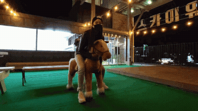 Woman In Mask Riding Stuffed Horse In Front Of No Sign GIF