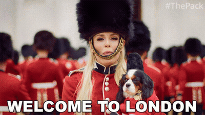 Woman In Military Uniform Holding Small Dog GIF