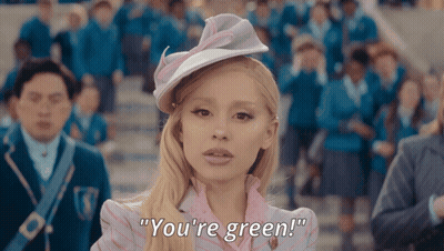 Woman In Pink And White Hat Says You're Green GIF