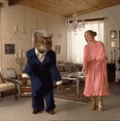Woman In Pink Dress Dancing With Cat In Blue Suit GIF