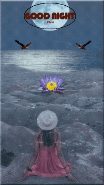 Woman In Pink Dress Sitting On Rock In Front Of Full Moon Good Night Vica GIF