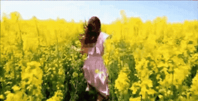 Woman In Pink Dress Walking Through Yellow Flowers GIF