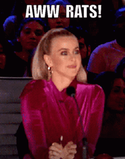 Woman In Pink Shirt Aww Rats In Front Of Crowd GIF