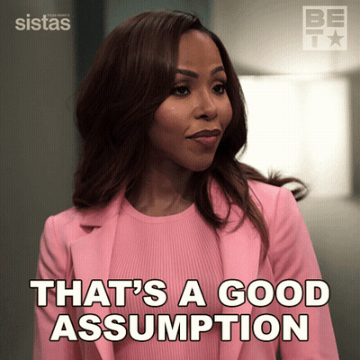 Woman In Pink Suit Saying That's A Good Assumption GIF