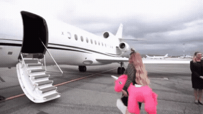 Woman In Pink Unicorn Costume Walking To Airplane GIF