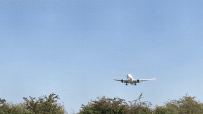 Woman In Pink Wig And Pink Suitcase Walking On Stage GIF