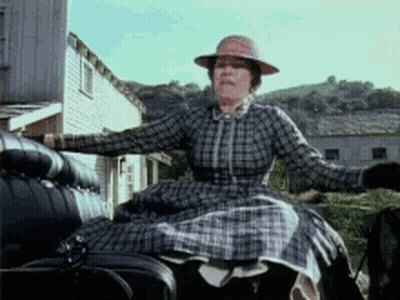 Woman In Plaid Dress Riding Carriage GIF