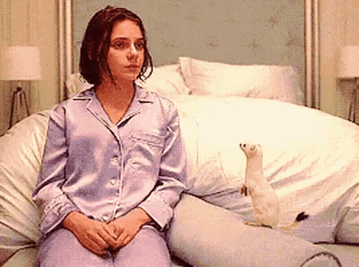 Woman In Purple Pajamas Sitting On Bed With Meerkat GIF