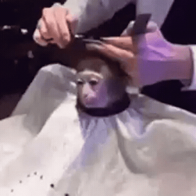 Woman In Purple Shirt Holding Microphone GIF