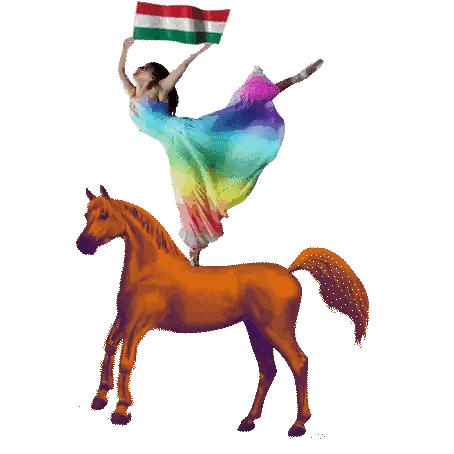 Woman In Rainbow Dress Riding Horse With Flag Sticker