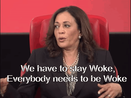 Woman In Red Chair Saying We Have To Stay Woke GIF
