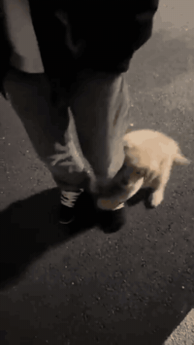 Woman In Red Coat And Man In Black Suit GIF