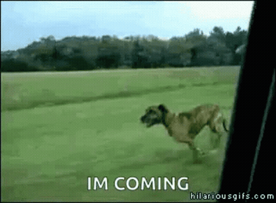 Woman In Red Dress Dancing On Roadside GIF