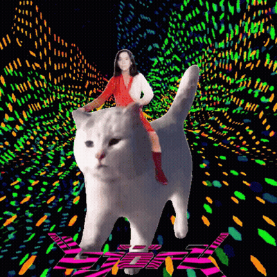 Woman In Red Dress Riding White Cat GIF