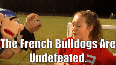 Woman In Red Shirt Talking To Two Puppets French Bulldogs Are Underestimated GIF