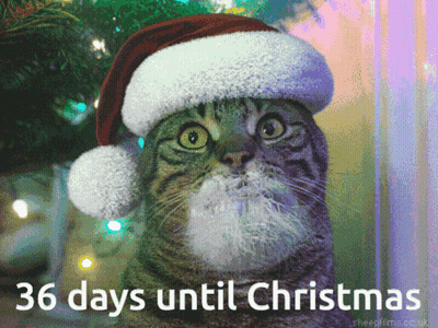 Woman In Santa Costume Dancing Holiday Spirit Activate 2 Months Til Christmas GIF