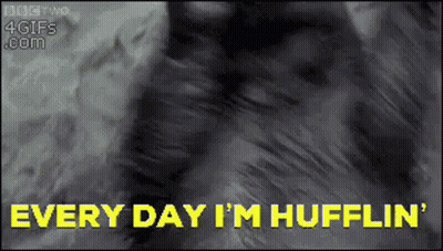 Woman In Santa Suit Dancing In Kitchen Holiday Spirit Activate Merry Christmas GIF