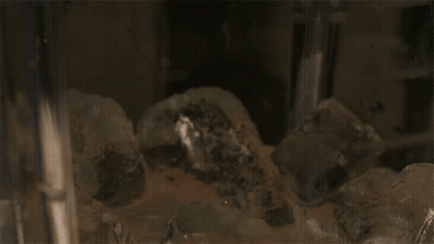 Woman In Sombrero And Poncho Dancing GIF