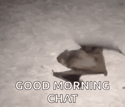 Woman In Store With Sale Sign GIF