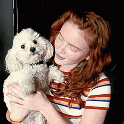 Woman In Striped Shirt Holding White Poodle GIF