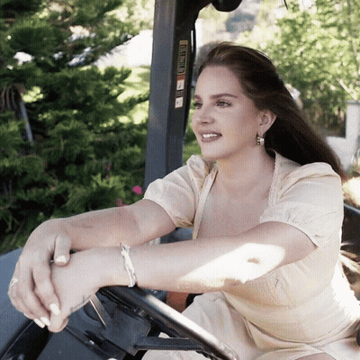 Woman In Vehicle With Warning Sticker GIF