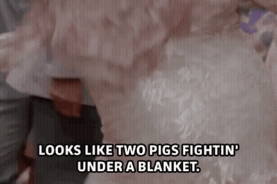 Woman In Wedding Dress Says Looks Like Two Pigs Fighting Under Blanket GIF