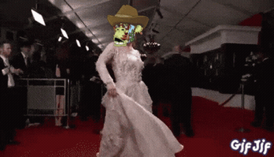 Woman In Wedding Dress With Monkey On Head GIF